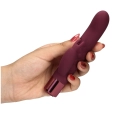s-explore-toy-kit-for-her-dark-cherry-wibrator.jpg