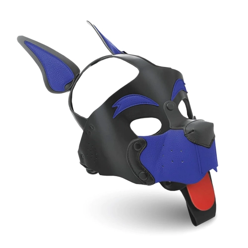alpha-dog-pup-hood-blue.jpg